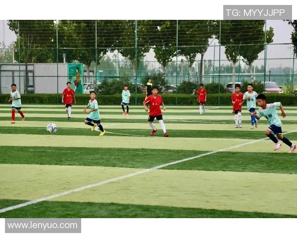 足球小将的梦想之旅从绿茵场到世界巅峰的热血传奇